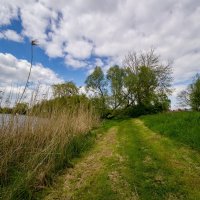 По скошенной траве... :: Николай Гирш