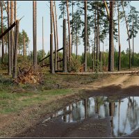 *** :: Aleksandr Gal