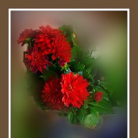 ЦВЕТЕНИЕ :: Владимир Кроливец ЦВЕТЕНИЕ :: Владимир Кроливец