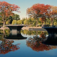 Фонтаны Токио :: Civetta ***