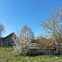 Украшение развалин :: Veera V