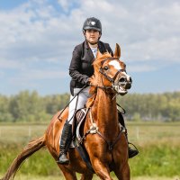 Конкур :: SanSan 