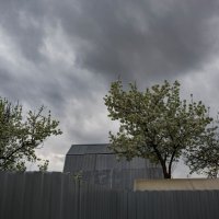 Перед дождём :: Петр 