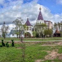 Весёлая компания. :: Михаил "Skipper" Весёлая компания. :: Михаил "Skipper"