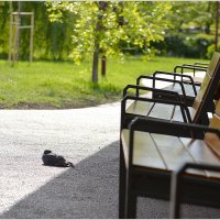 Курортник :: Сеня Белгородский