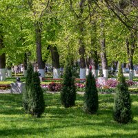 Городской парк :: Игорь Сикорский Городской парк :: Игорь Сикорский