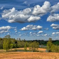 Spring 030525 2m :: Arturs Ancans