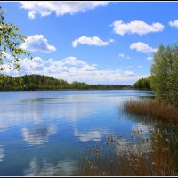 *** :: Aleksandr Gal