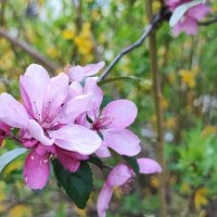 ,,, :: Сергей Тимоновский