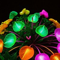 Композиция из цветов 5 :: дмитрий мякин