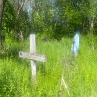 «На братских могилах не ставят крестов..» /В.С.Высоцкий/. Забвение.. :: Alexey YakovLev