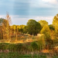 Вечером :: Александр 