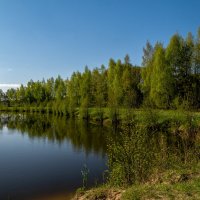 Майское утро VI :: Андрей Дворников