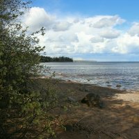 Ладожское Озеро :: Наталья Герасимова