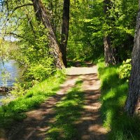 Весна - май :: Милешкин Владимир Алексеевич 