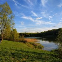 Не мне одному нравится :: Андрей Лукьянов