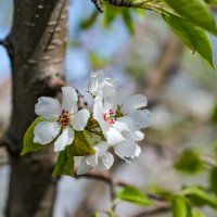 Май :: Dmitry i Mary S