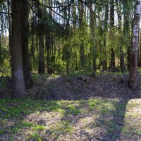 Московская область. г. Пушкино. Осетровая ферма. :: Наташа *****