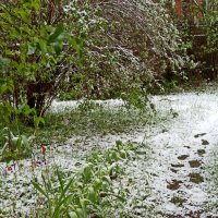 2 мая 2025 г. Недолго зима нас пугала... :: veilins veilins 2 мая 2025 г. Недолго зима нас пугала... :: veilins veilins