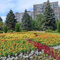 Цветочная Самара :: Надежда 