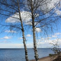 Ладожское Озеро :: Наталья Герасимова Ладожское Озеро :: Наталья Герасимова
