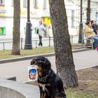 Служба такая :: VL 