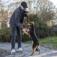 Поздоровались :: Елена Пономарева