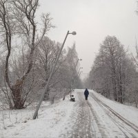 Зимний пейзаж :: dindin 