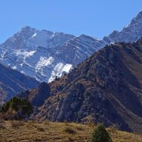 ПО ДОРОГЕ ДОМОЙ. :: Виктор Осипчук