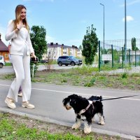 Случайная встреча. :: Восковых Анна Васильевна Случайная встреча. :: Восковых Анна Васильевна