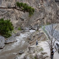 Ингушетия. Ассинское ущелье :: Gen 