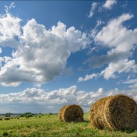 Лето :: **** vedin Лето :: **** vedin