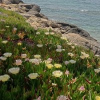 Доброе утро :: Юрий. Шмаков