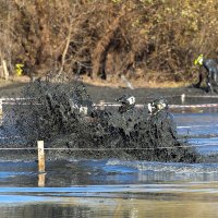 Без тормозов... :: Александр Гриднев