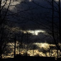 Противостояние....... :: Aleksandr Gal