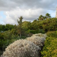 Природа :: Oleg4618 Шутченко