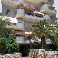 Гуляем по утрам :: Светлана Хращевская Гуляем по утрам :: Светлана Хращевская