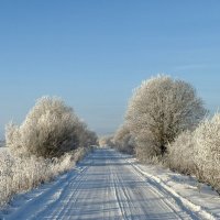 Мороз и солнце... :: Евгений С