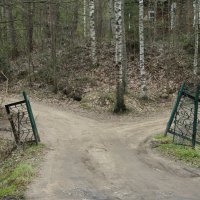Юкки :: Елена Минина