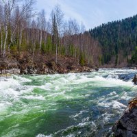 Весенние воды Казыра. :: Евгений Голубев