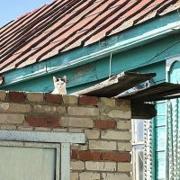 На страже :: Мария - Maria