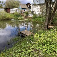 Дачный водоём :: Любовь 