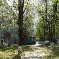 *** :: Валентина Береснева