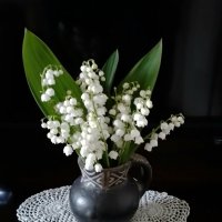 *** :: Валентина Береснева