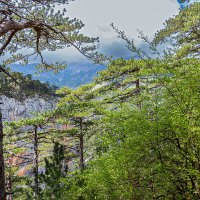 Облака закрыли горы :: Юрий Яловенко