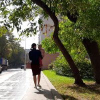 *** :: Владимир Захаров