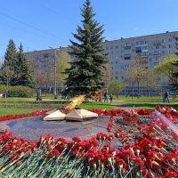 Памяти погибших... :: Мария Васильева