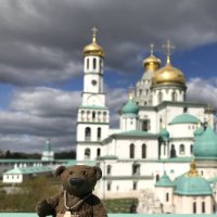 Новое путешествие. :: Любовь 