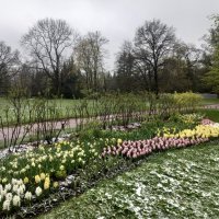 Весна :: Сапсан 