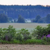 Утро :: **** vedin